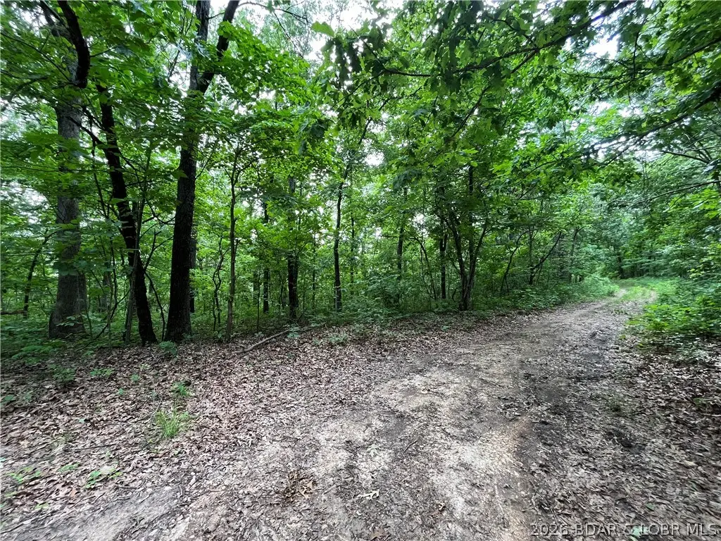 TBD Lake Forest Estates Road, Stover, MO 65078 - #1