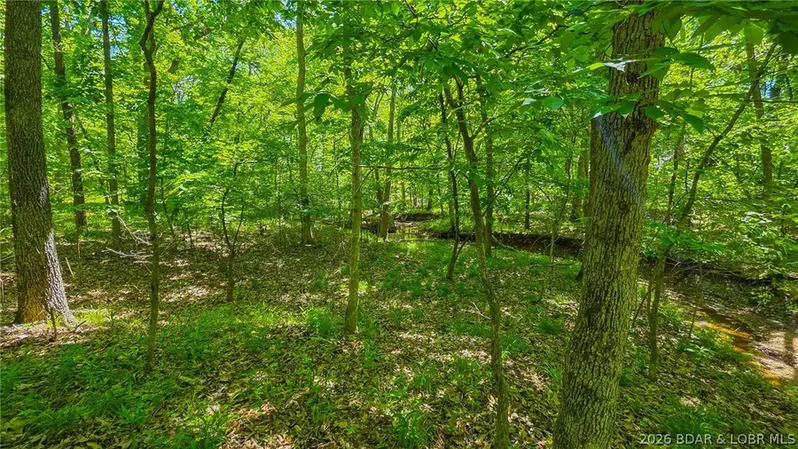 Lot #1148 Spring Creek Drive, Sunrise Beach, MO 65079 - #3