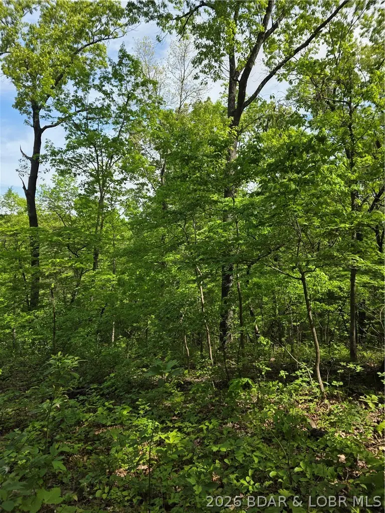 Broken Circle Road, Stover, MO 65078 - #2
