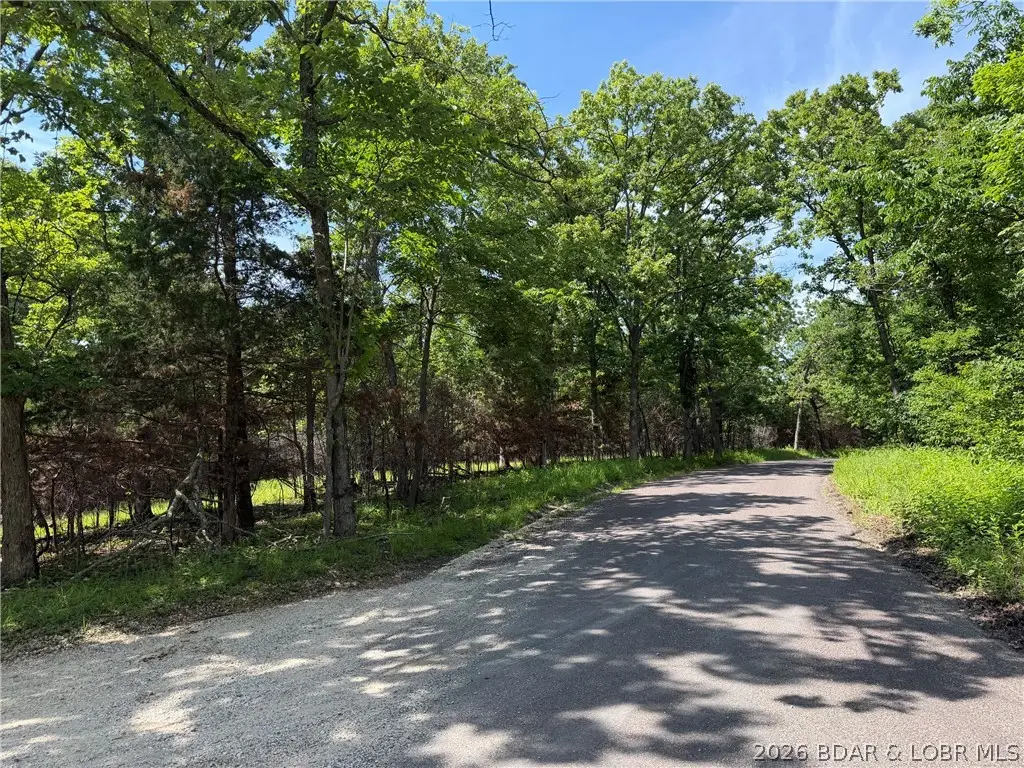 Captain's Fancy Resort Road, Gravois Mills, MO 65037 - #1