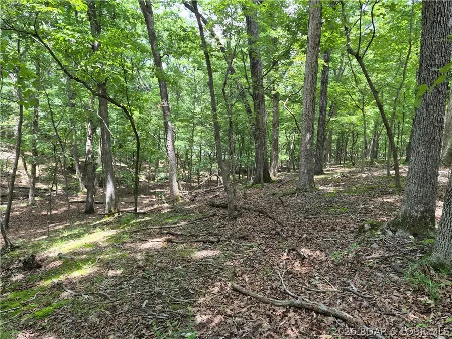 Lot 786 Muirfield Drive, Sunrise Beach, MO 65079 - #3