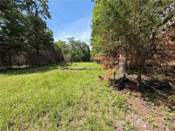 Captain's Fancy Resort Road, Gravois Mills, MO 65037
