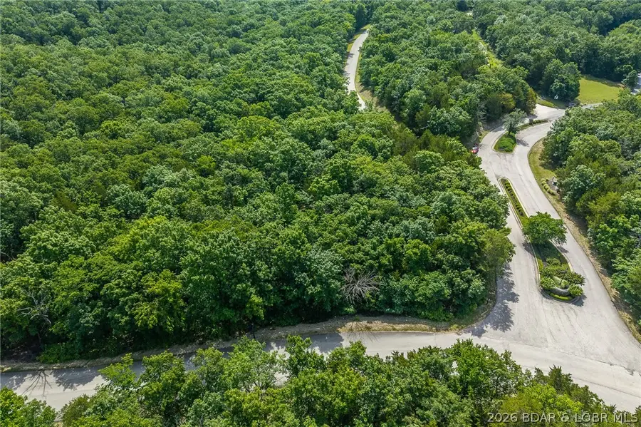 Lot 297 and 298 Brookhaven Lane, Jasper, MO 65037 - #3