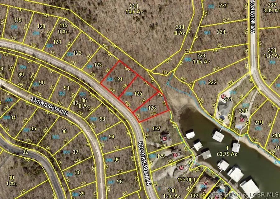 Lot 288, 289, 290 Brookhaven Lane, Jasper, MO 65037 - #2