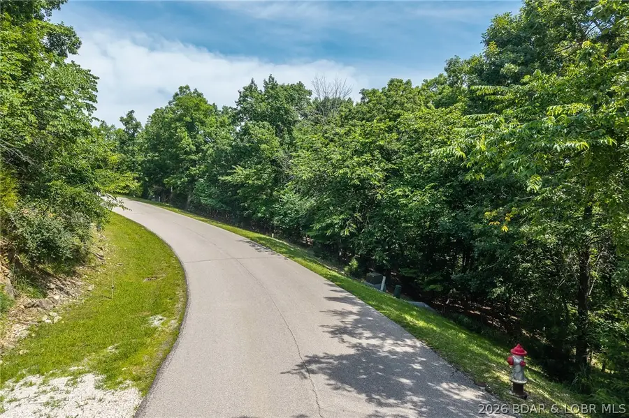 Lot 288, 289, 290 Brookhaven Lane, Jasper, MO 65037 - #3