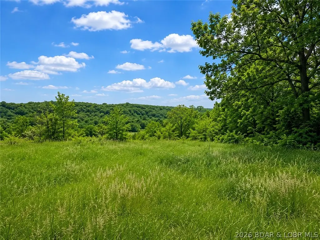 16390 Harris Road, Linn, MO 65046 - #1
