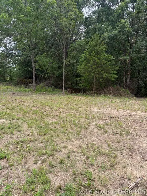 Lot 1 Highway 135, Gravois Mills, MO 65037 - #3