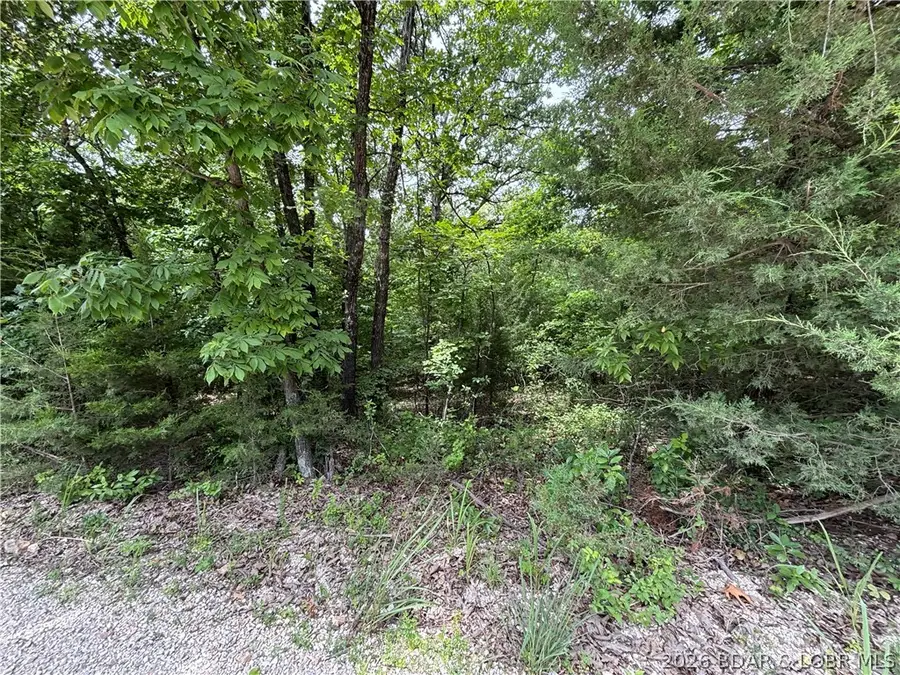 31222 Idyll Acres, Gravois Mills, MO 65037 - #3