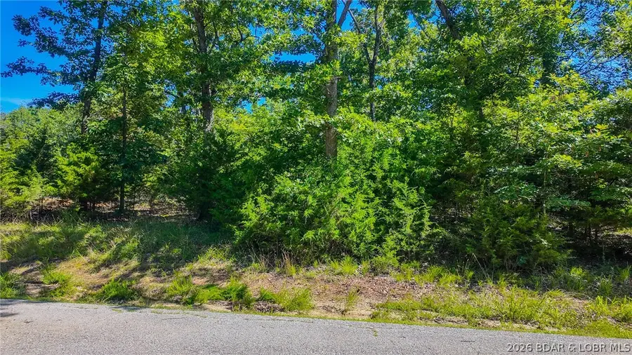 Lot #1345 Champion Drive, Sunrise Beach, MO 65079 - #2