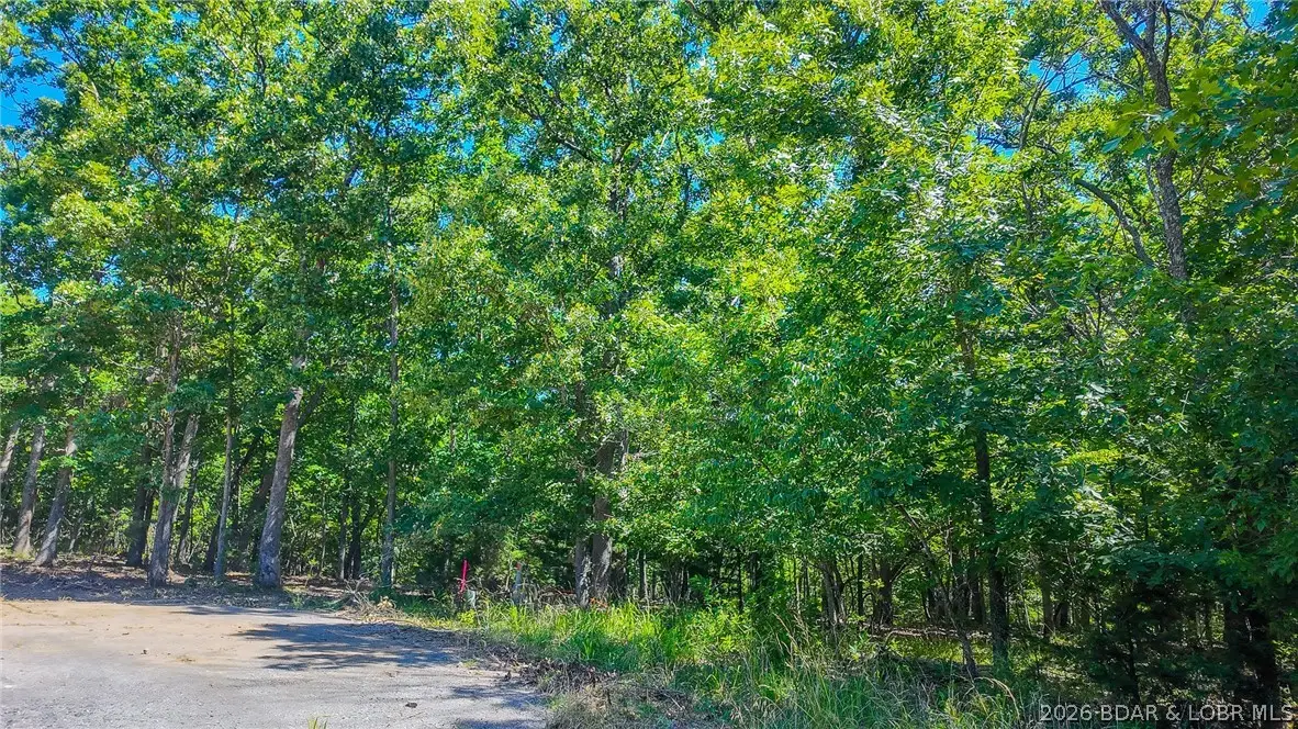 Lot #1318 Champion Court, Jasper, MO 6579 - #1