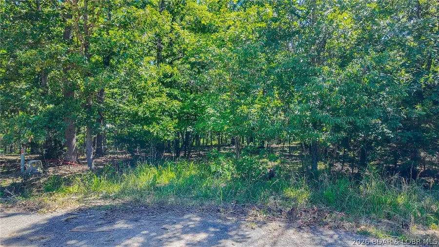 Lot #1318 Champion Court, Jasper, MO 6579 - #2