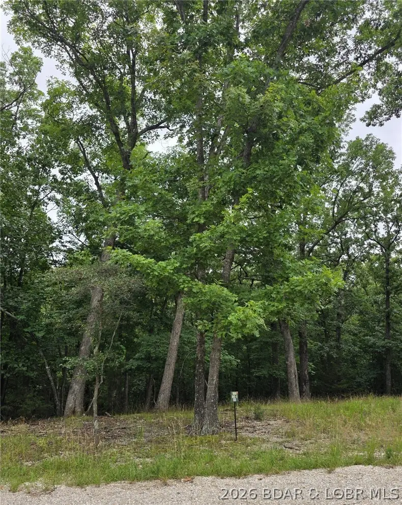 Lot 109 Terry Road, Lake Ozark, MO 65049 - #3