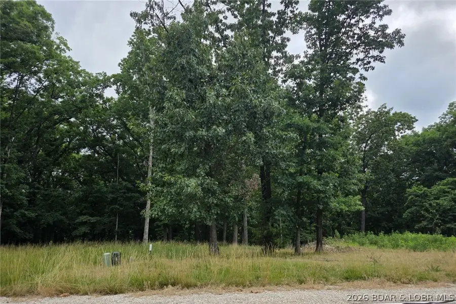Lot 120 Terry Road, Lake Ozark, MO 65049 - #2