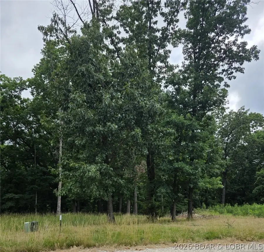 Lot 120 Terry Road, Lake Ozark, MO 65049 - #3