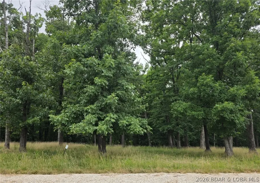 Lot 121 Terry Road, Lake Ozark, MO 65049 - #2