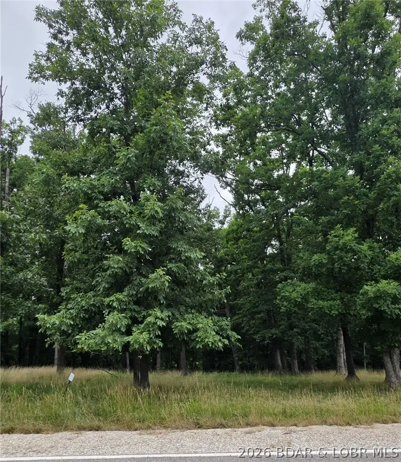 Lot 121 Terry Road, Lake Ozark, MO 65049 - #3