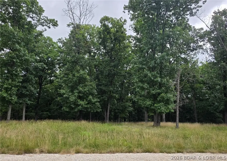 Lot 123 Terry Road, Lake Ozark, MO 65049 - #2