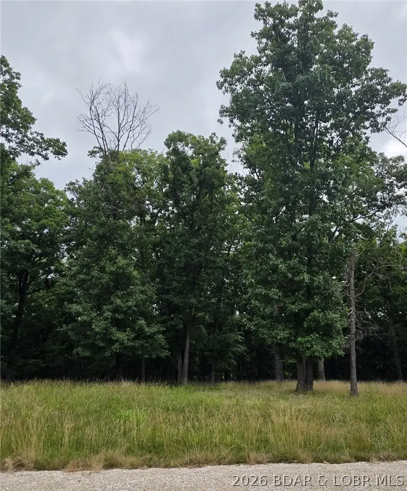 Lot 123 Terry Road, Lake Ozark, MO 65049 - #3