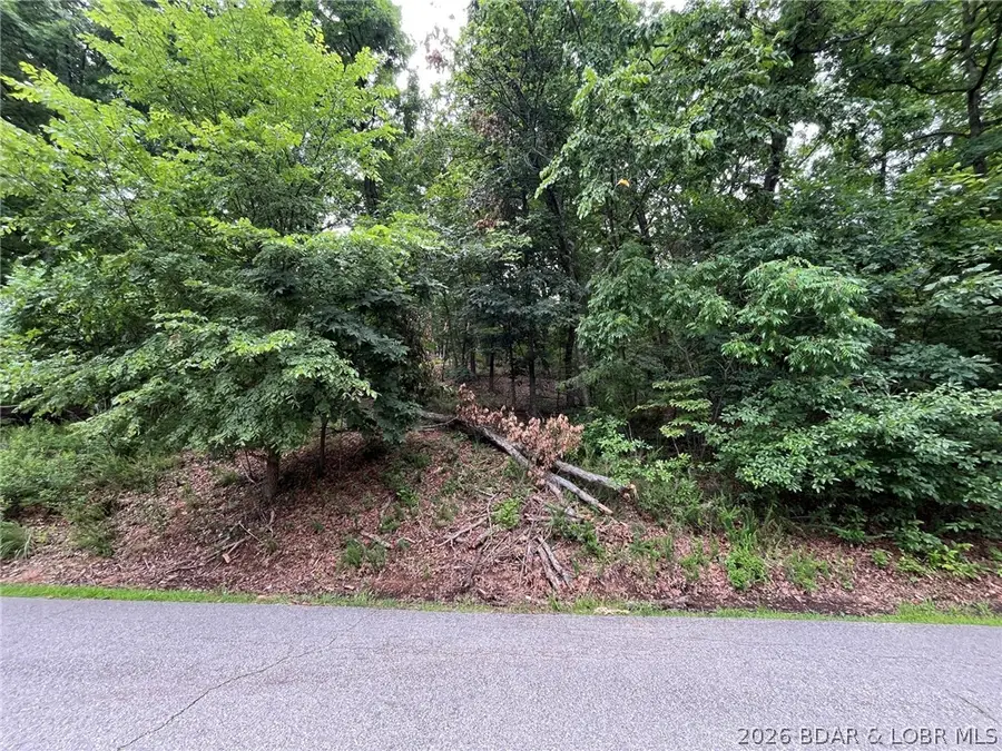1401A Via Del Lago Drive, Sunrise Beach, MO 65079 - #3