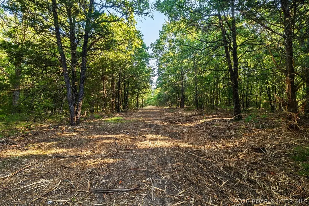 000 T Hwy, Dallas, MO 64776 - #1