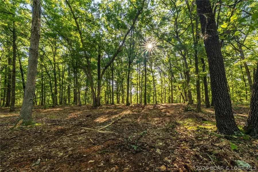 000 T Hwy, Dallas, MO 64776 - #3
