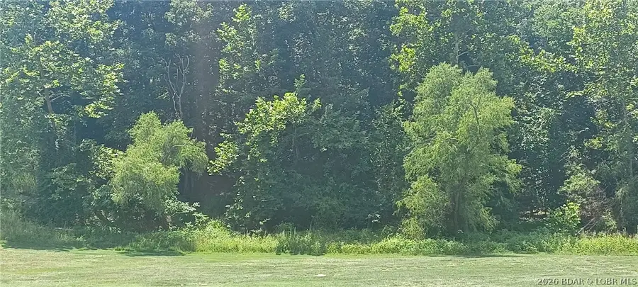 Lot 193 Player Drive, Gravois Mills, MO 65037 - #2