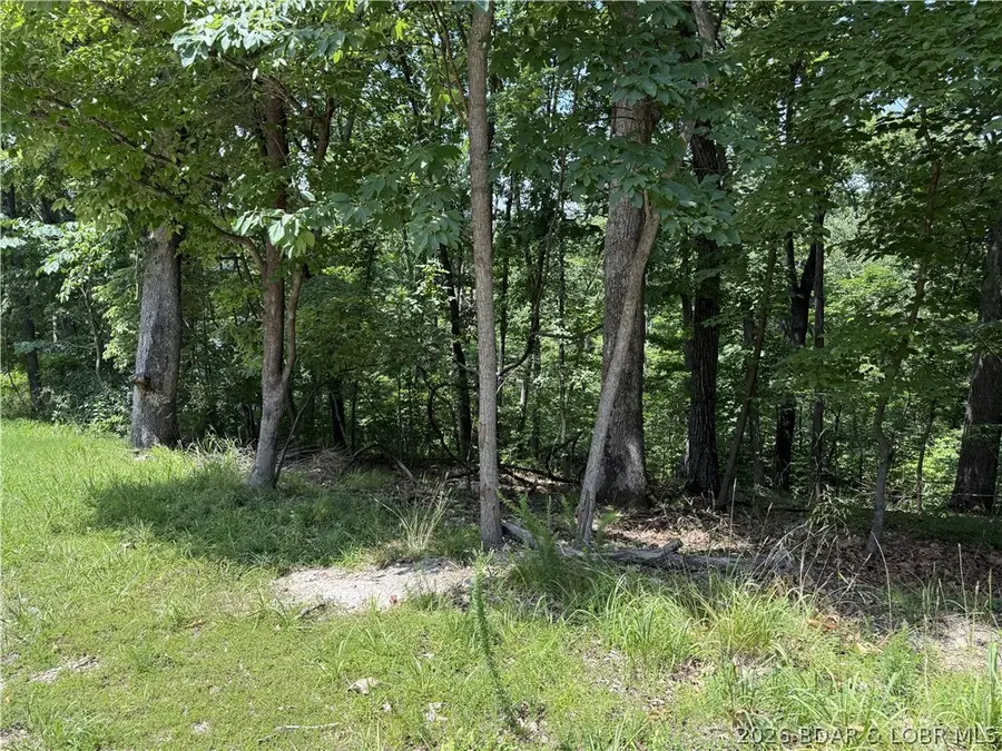 Lot 736 Fairlawn Drive, Village Of Four Seasons, MO 65049 - #3