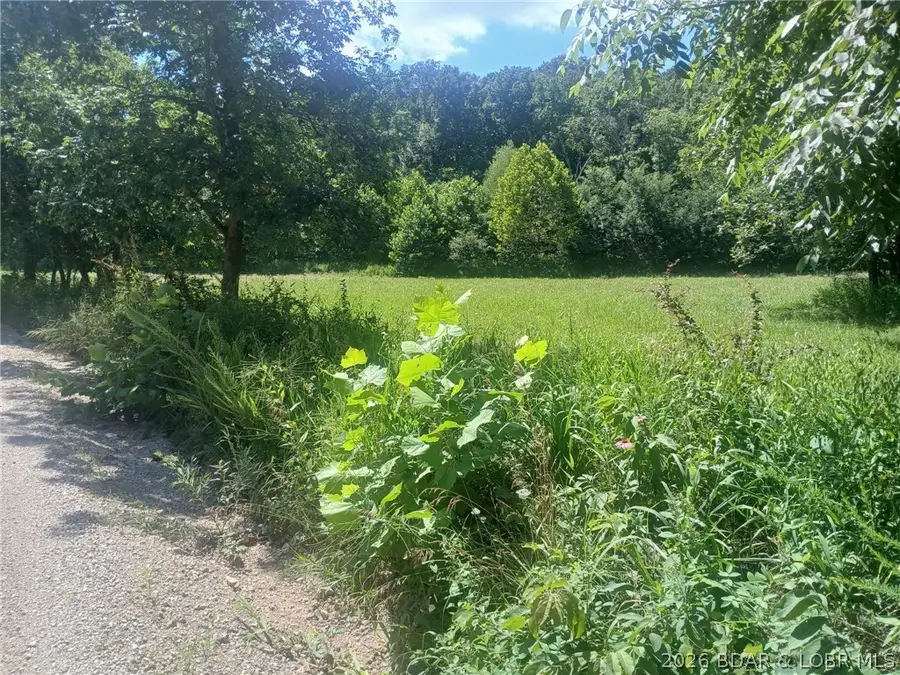 2995 Business Park Road, Linn Creek, MO 65052 - #2