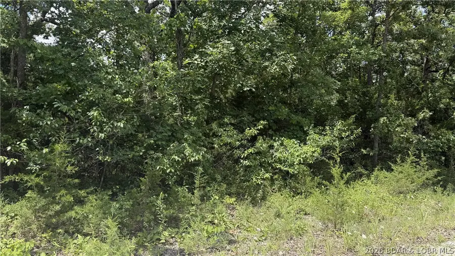 PRT TR 19-2 Lots Stoney Oak Drive, Gravois Mills, MO 65037 - #3