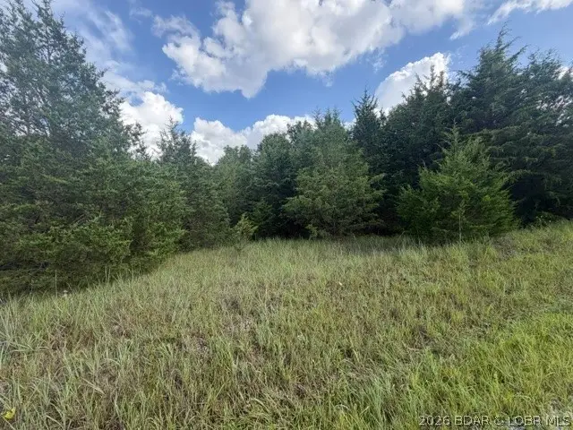 Saito Place, Edwards, MO 65326 - #3