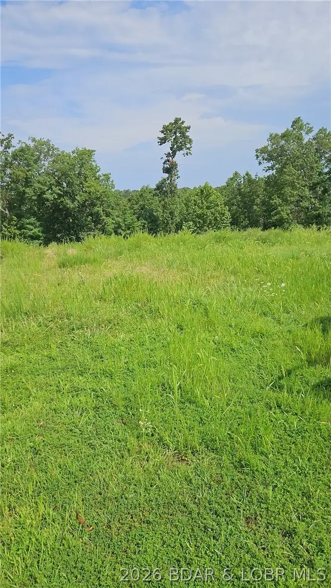 Bass Point Road, Gravois Mills, MO 65037 - #2