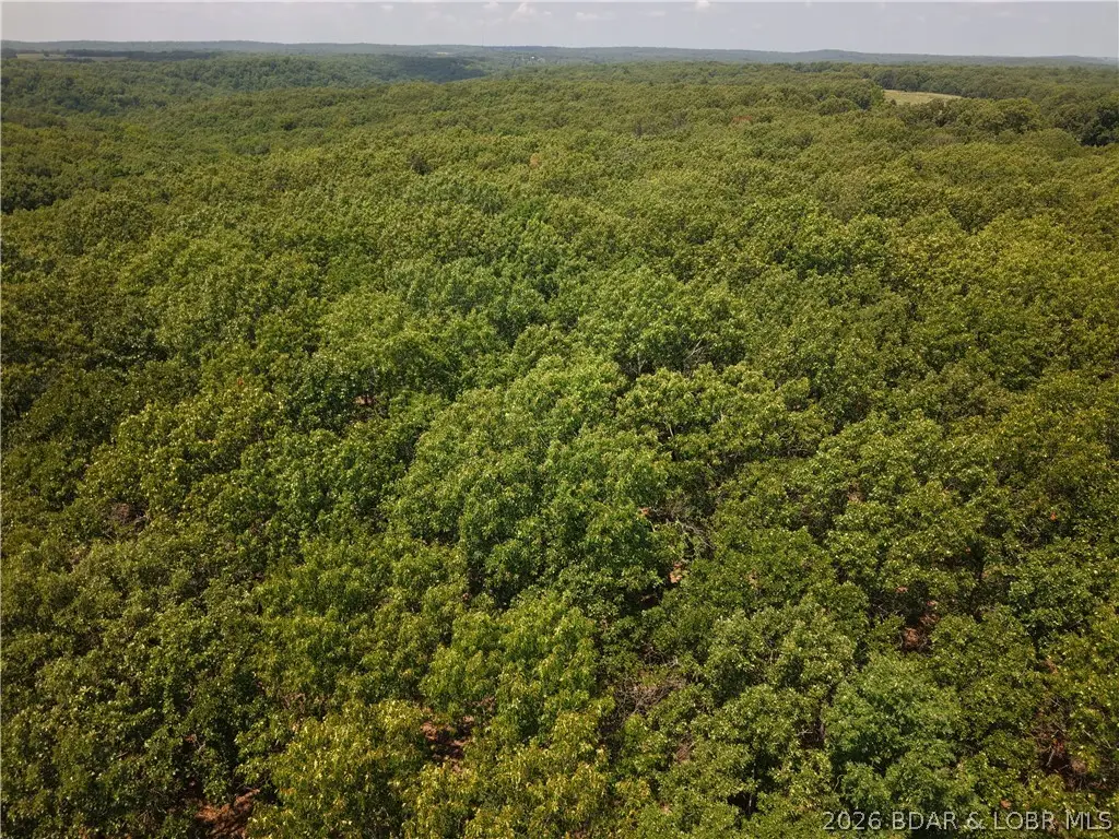 Old Canfield Ridge Road, Climax Springs, MO 65324 - #1