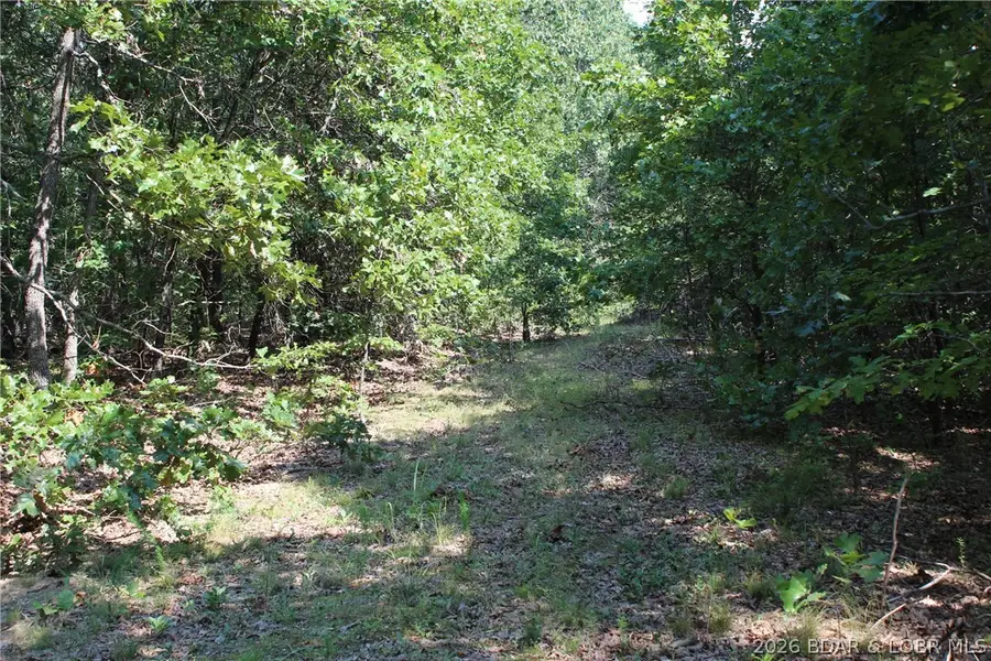 Old Canfield Ridge Road, Climax Springs, MO 65324 - #3