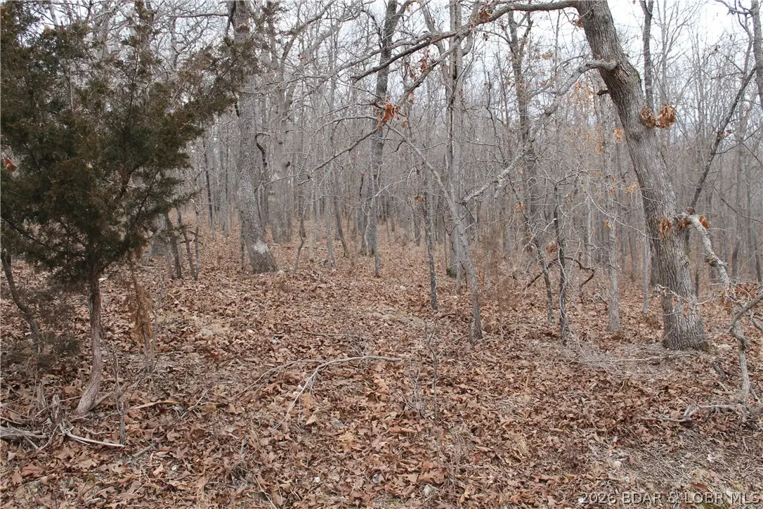 Bogardus Road #2677, Edwards, MO 65326 - #1