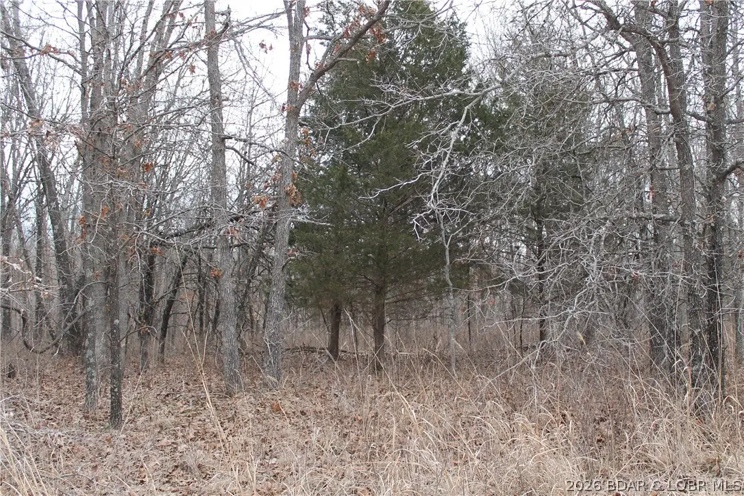 Ritchie Lane #2173, Edwards, MO 65326 - #1