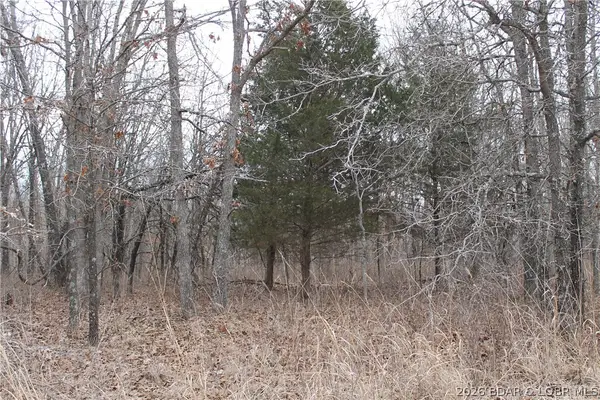 Ritchie Lane #2173, Edwards, MO 65326