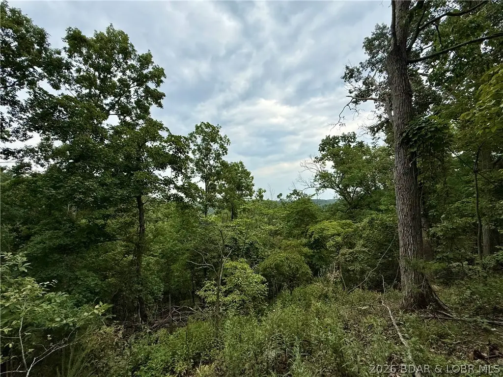 LOTS 53 & 54 Ozark Hills #10, Edwards, MO 65326 - #1