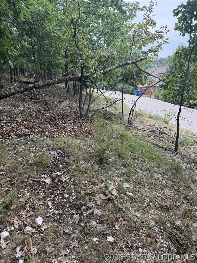 Navajo Road, Lake Ozark, MO 65049 - #3
