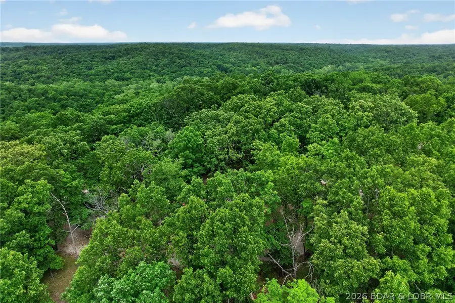 16376 Twisted Tree Road, Barnett, MO 65011 - #2