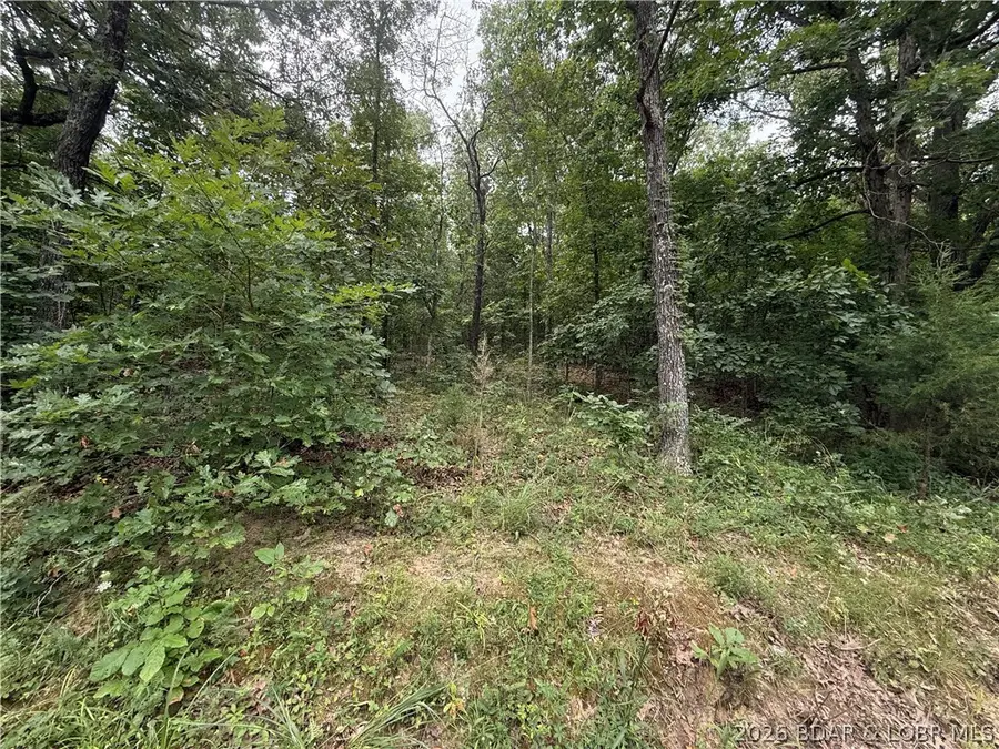 TBD Paulson Drive, Edwards, MO 65326 - #3