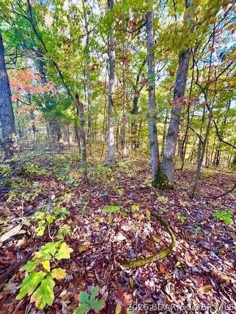 Lot#4 Lakewood Lane, Barnett, MO 65011