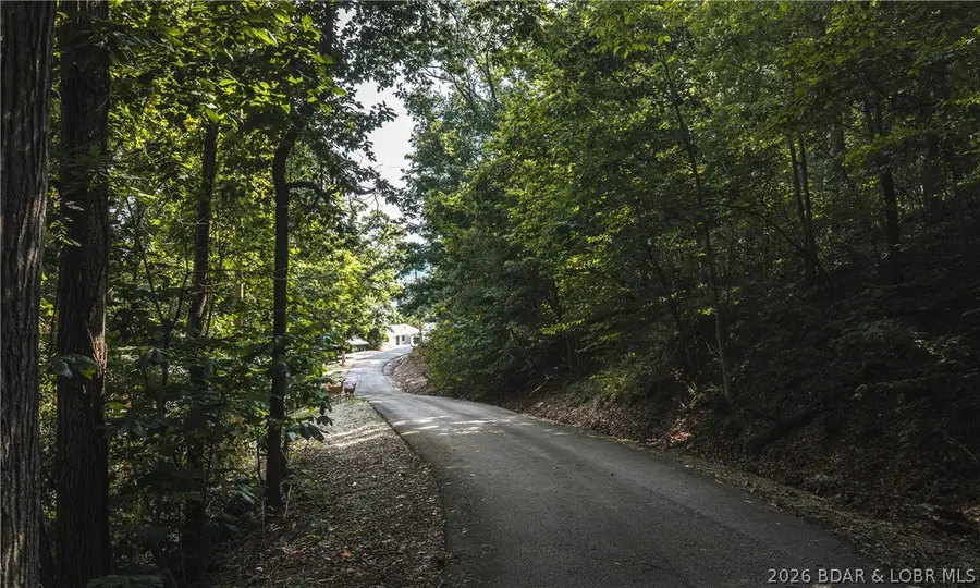 Lot 3 Snapdragon Drive, Camdenton, MO 65020 - #3