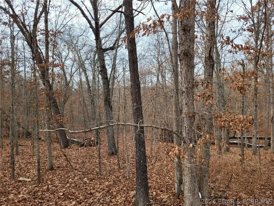 Dunn Drive #1331, Edwards, MO 65326 - #2