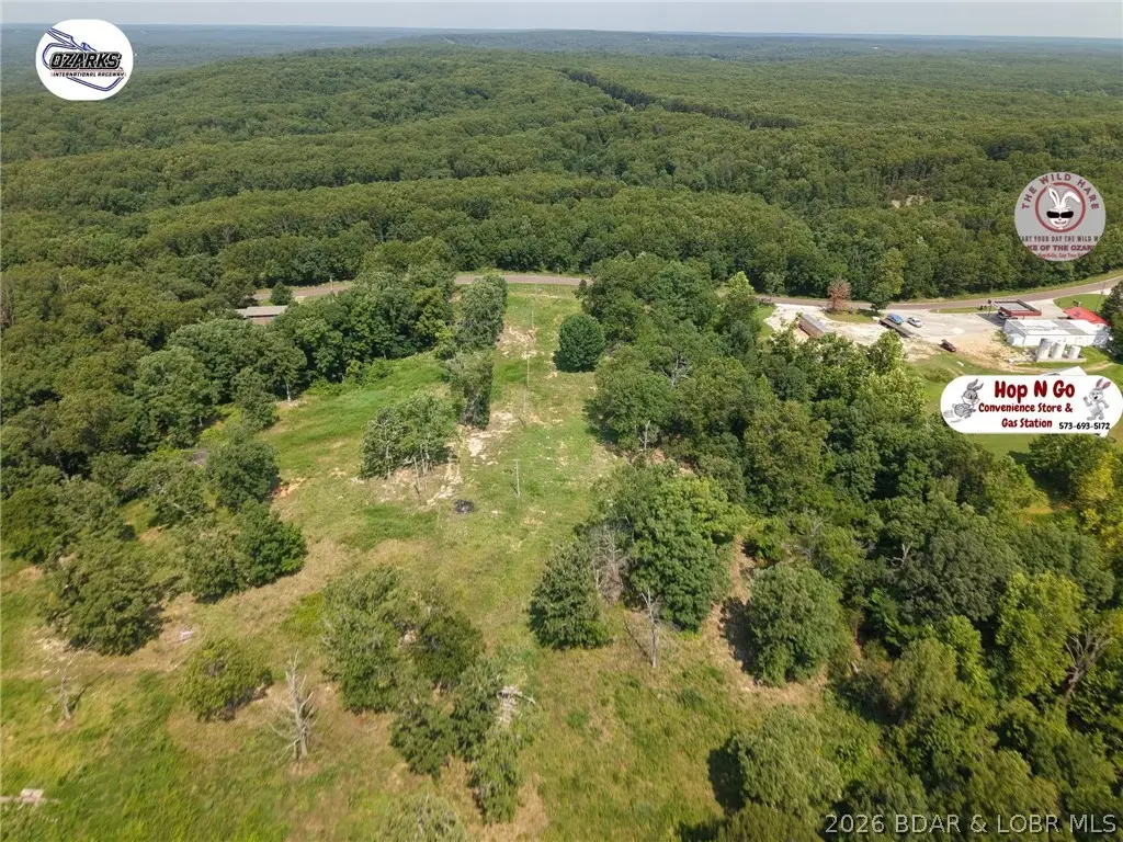 31385 Cup Tree Drive, Gravois Mills, MO 65037 - #1