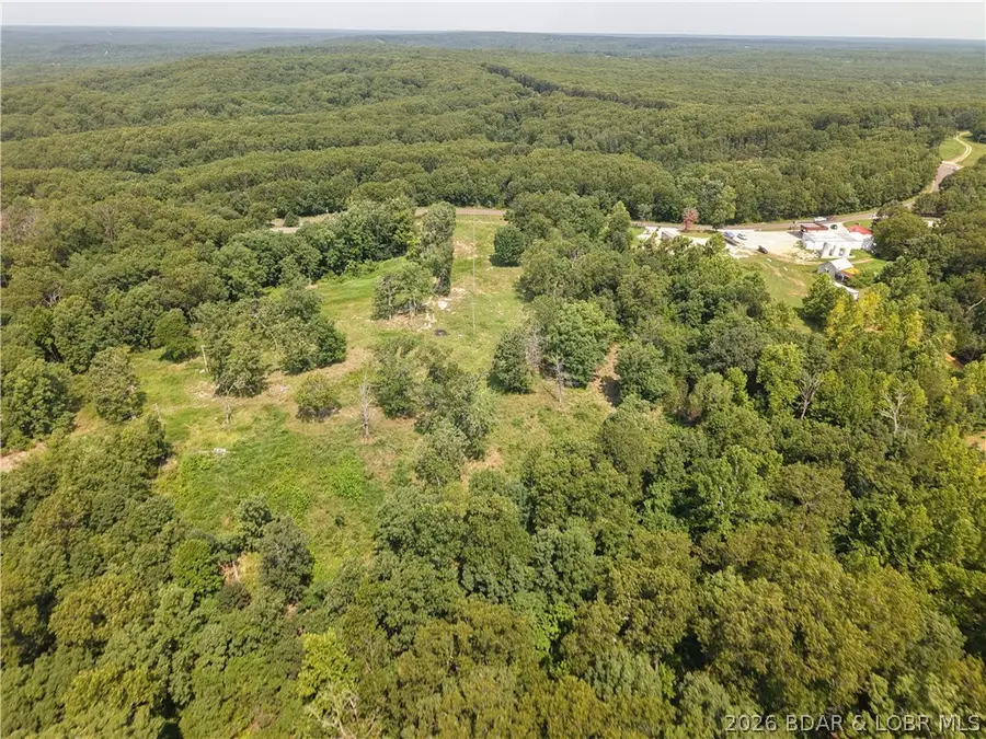 31385 Cup Tree Drive, Gravois Mills, MO 65037 - #2