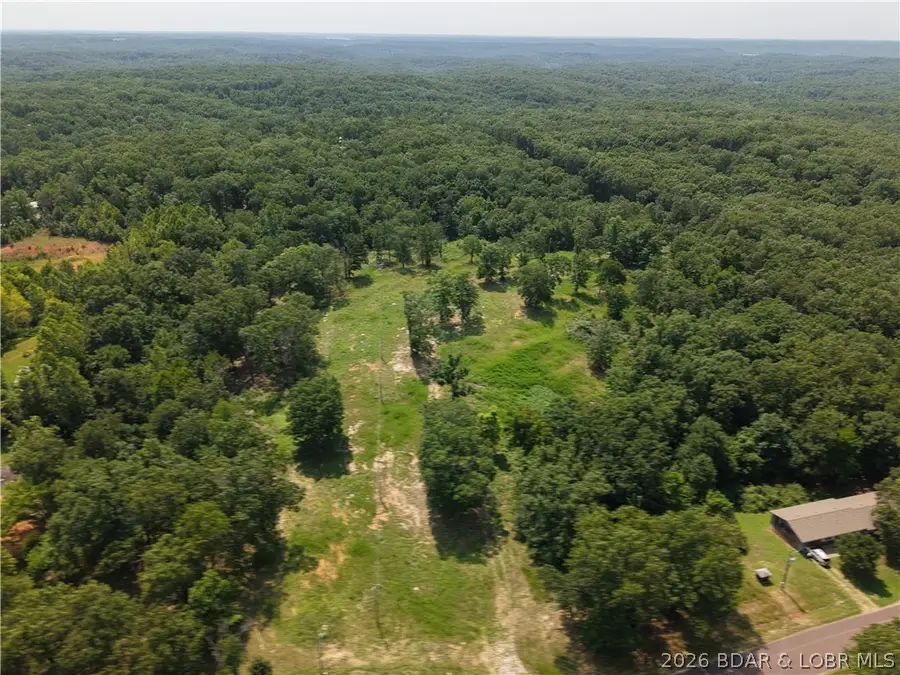 31385 Cup Tree Drive, Gravois Mills, MO 65037 - #3