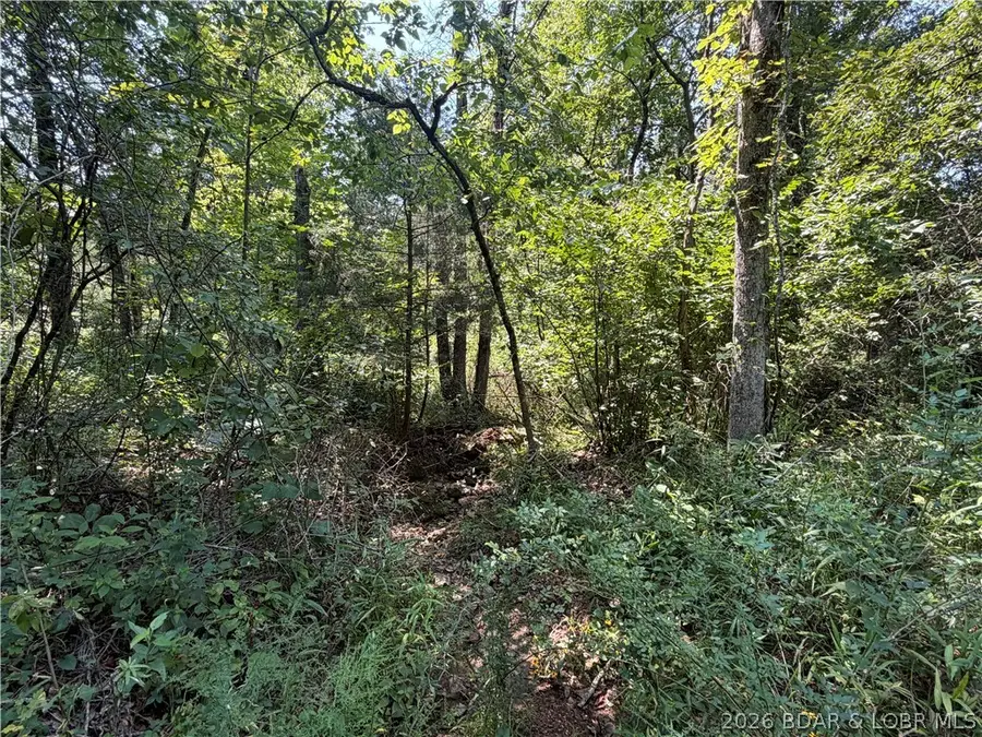 19655 Inlet Road, Versailles, MO 65084 - #2