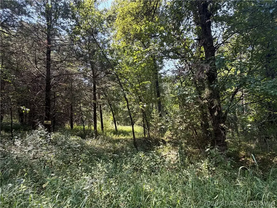 19655 Inlet Road, Versailles, MO 65084 - #3