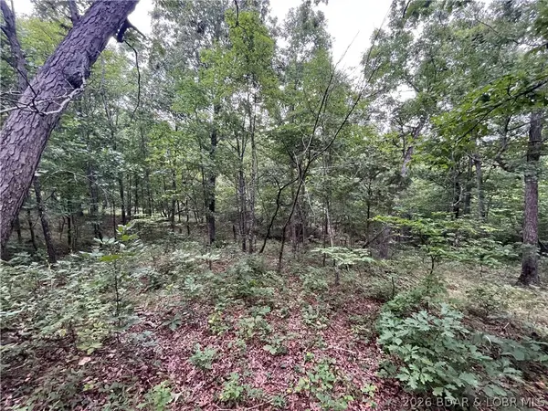 Patridge Drive, Climax Springs, MO 65324