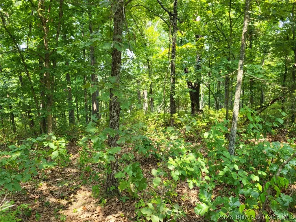 Lee Drive #2020, Edwards, MO 65326 - #1